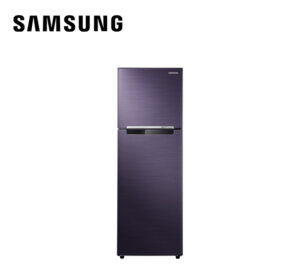 Samsung RT25FARBDUT
