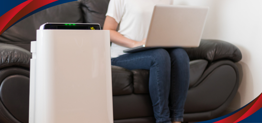 Woman Using Laptop In Living Room With Air Purifier In The Philippines