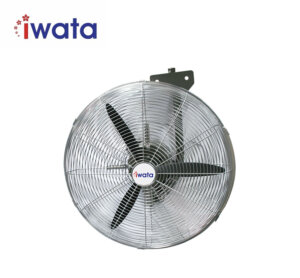 Iwata TORNADO30W