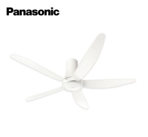 Panasonic F60TDN