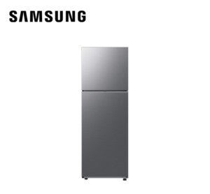 Samsung RT31CG5424S9