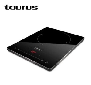 Taurus IH2011