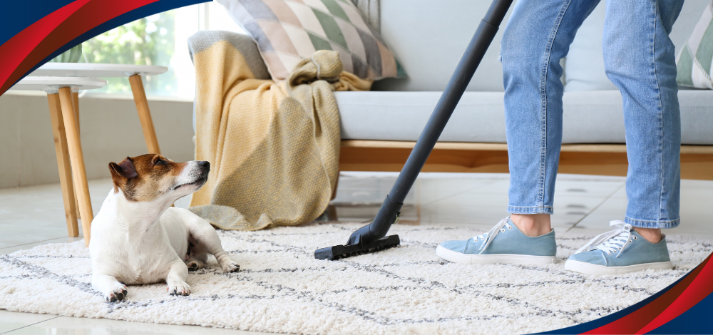 A Person Using a Carpet Cleaner in the Philippines