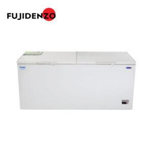 Fujidenzo IFC20ADF2